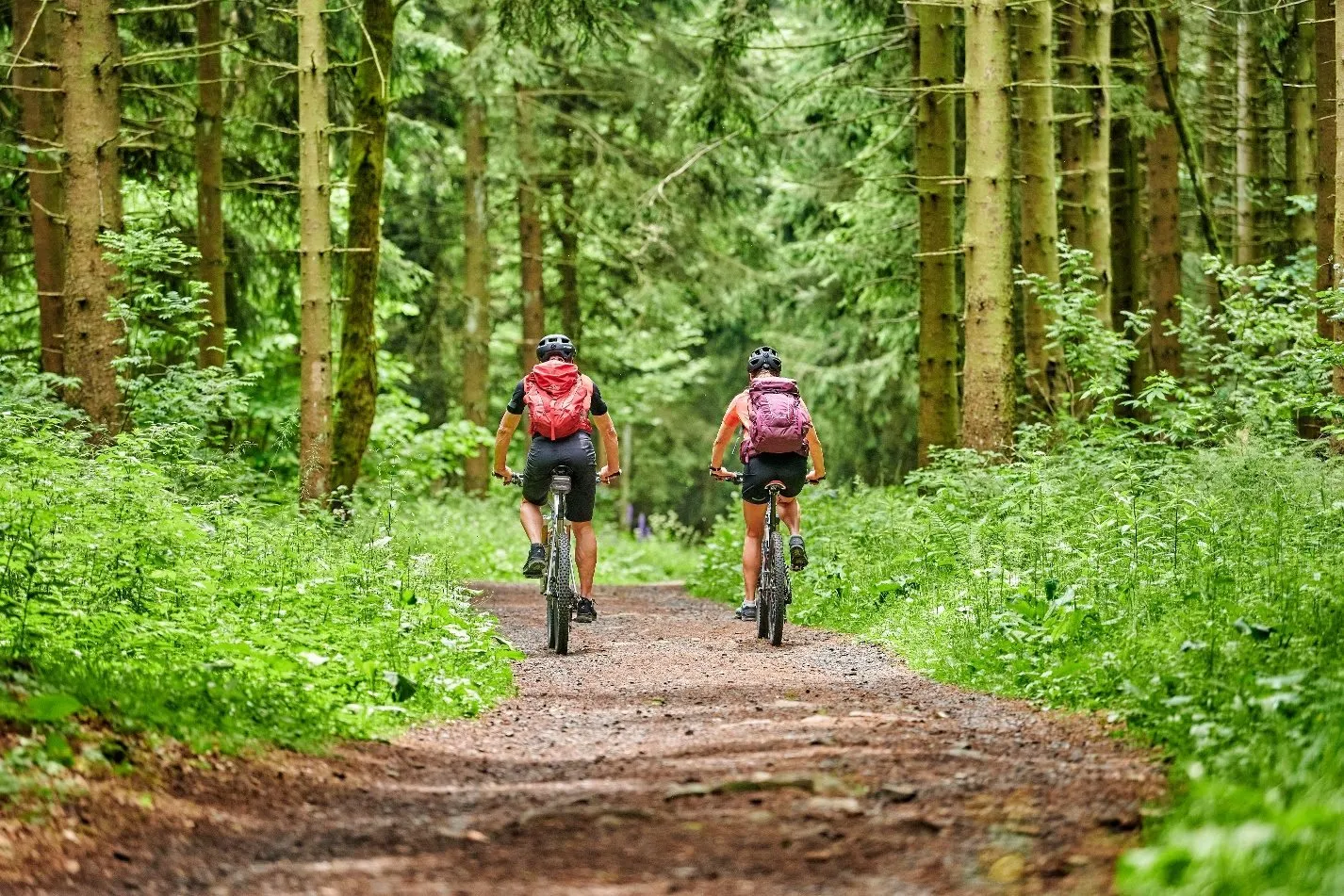 Cyclists on an Oregon road.