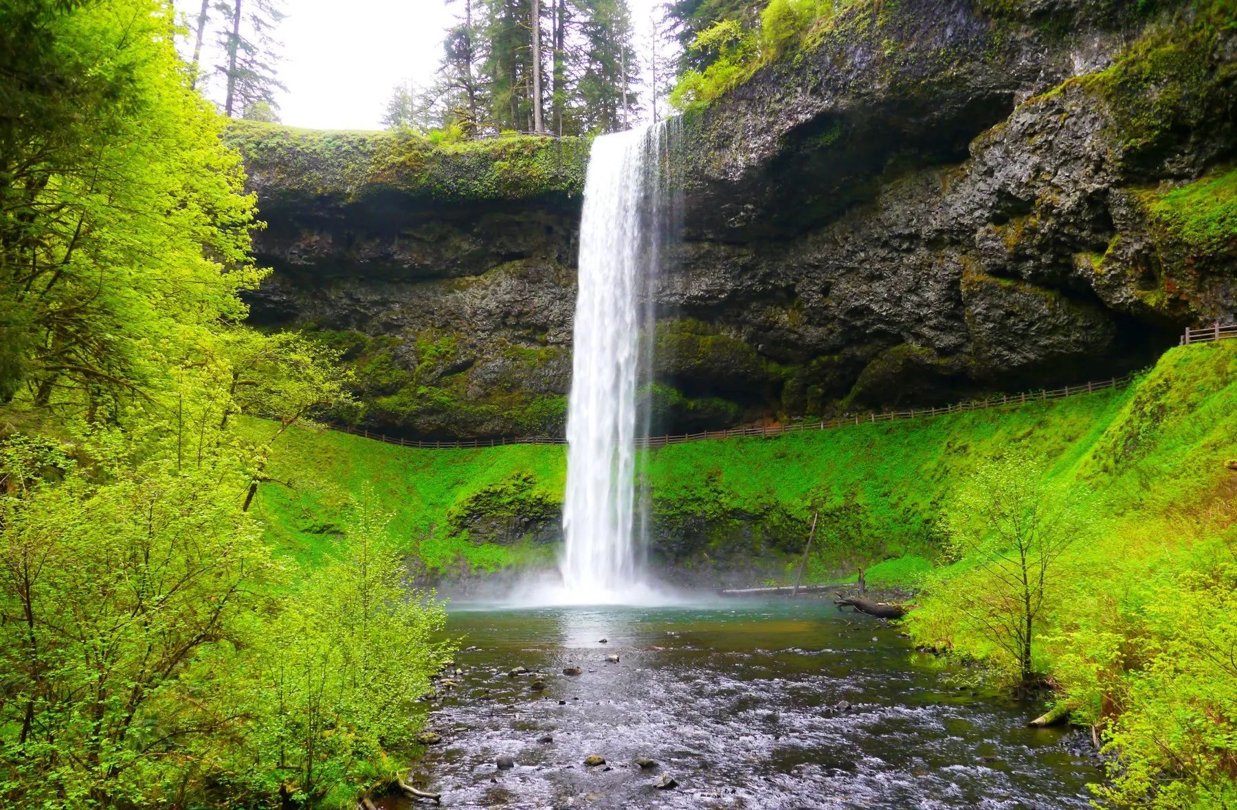 A waterfall in an Oregon forest.